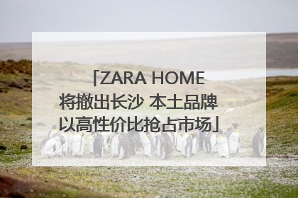 ZARA HOME将撤出长沙 本土品牌以高性价比抢占市场